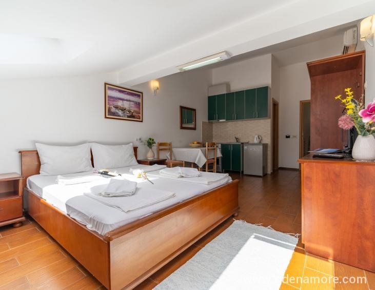 Apartment-for-rent-in-Budva (3)